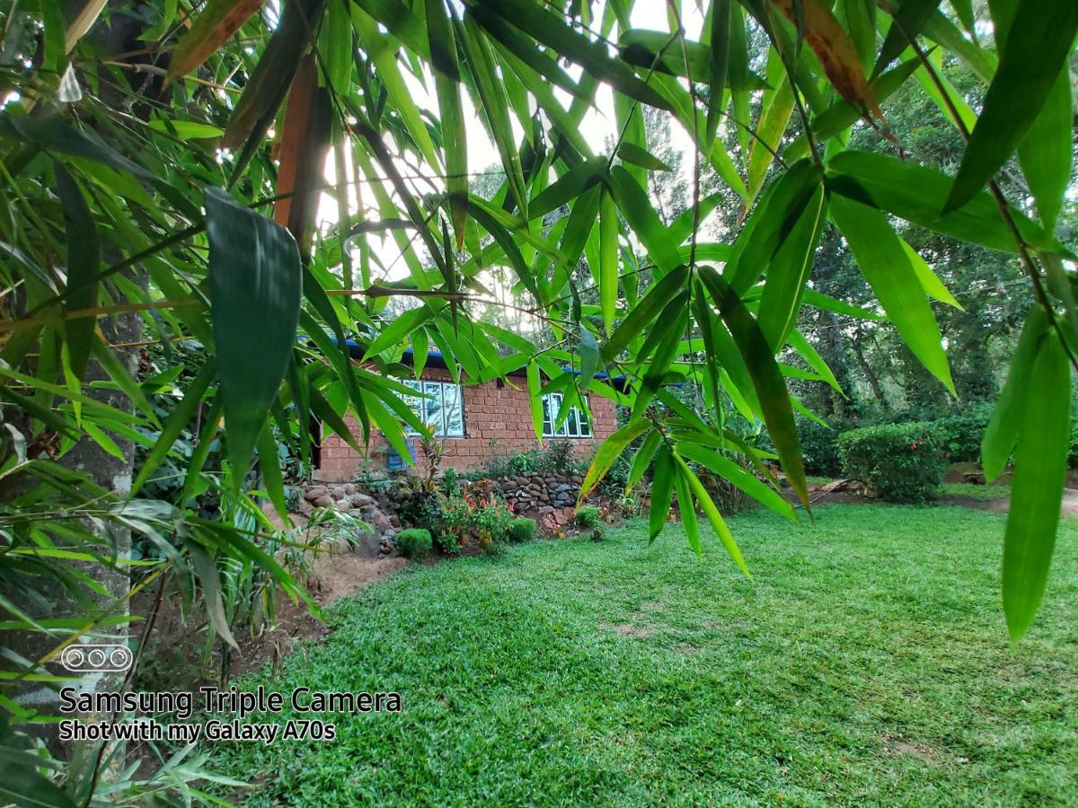 The Dream Apartment Sanivarsante Bagian luar foto